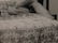 John Benson: Untitled (Male Nude) - 6