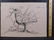Wifredo Lam Attributed: Bird Carrying Small Figures - 2