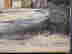item-117203231=2