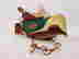 item-117203237=2