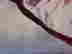 item-128645066=3