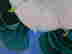item-130854506=3