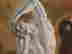 item-131321164=3