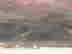 item-131321164=5