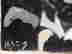 item-131321242=4