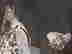 item-131321242=7