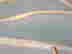 item-131321288=14