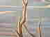 item-131321288=3