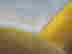 item-131321288=9