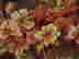 item-131321314=4