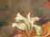 item-131321314=7