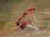 item-131321314=8