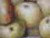 item-131681544=3