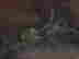 item-131681544=4