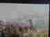 item-131681698=8