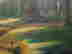 item-131681761=5