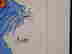item-136245805=4