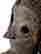 item-137629005=4