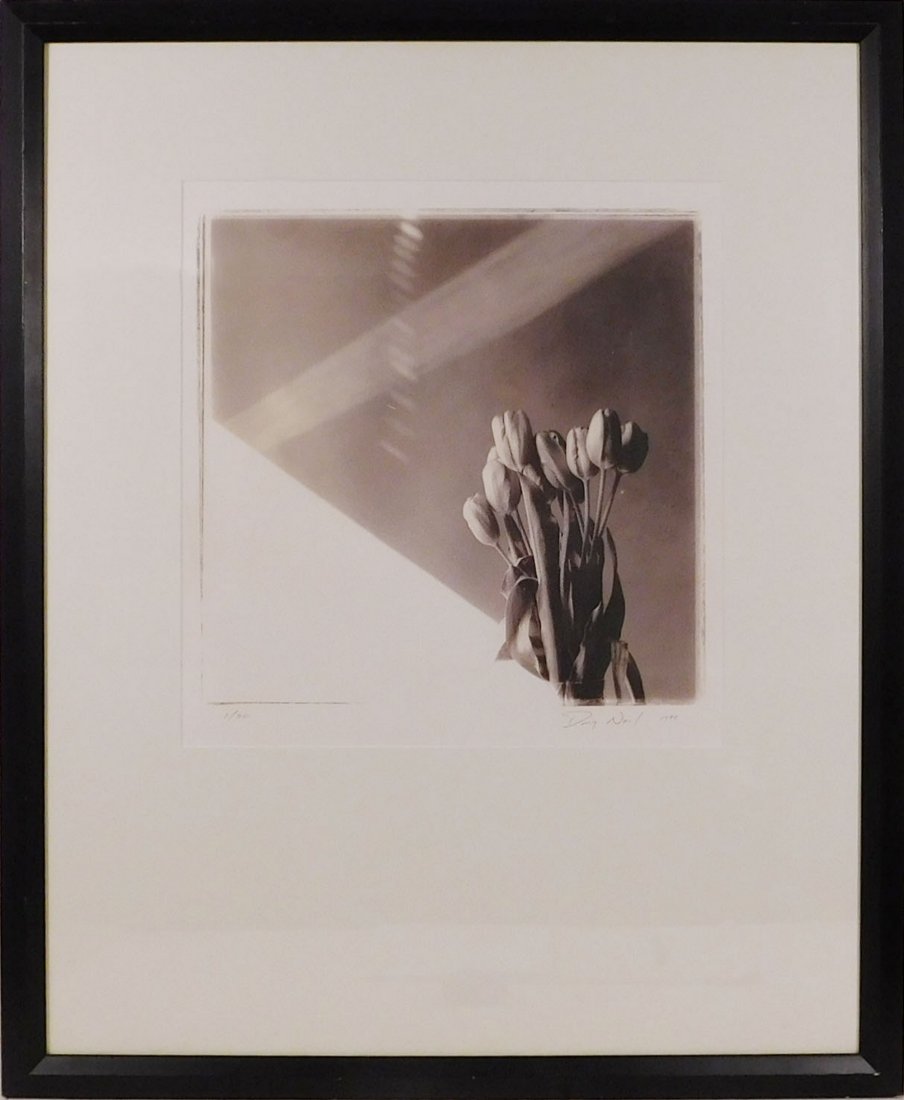 Doug Neal: Tulips with Sunlight (1 of 4)