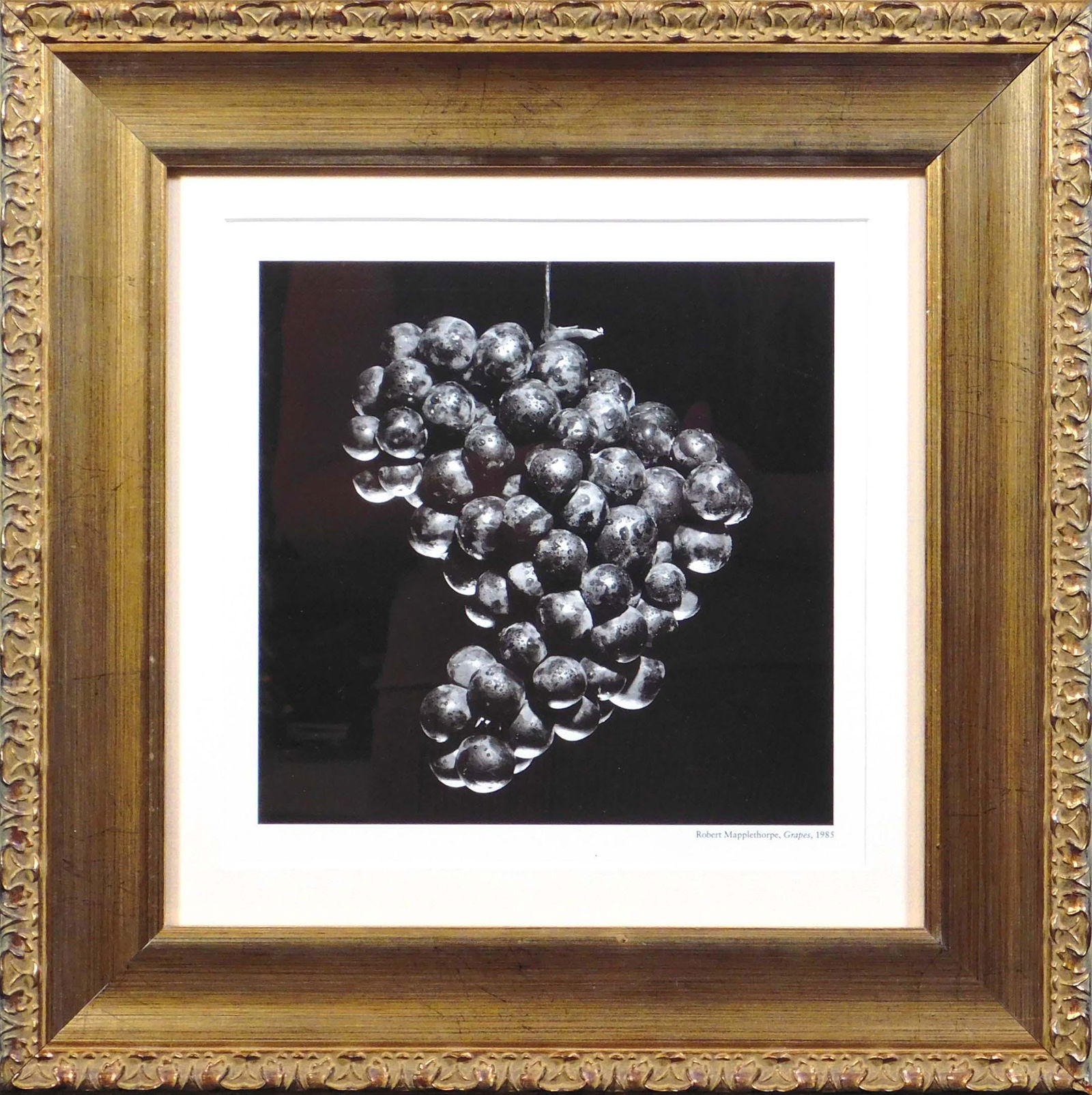 Robert  Mapplethorpe: Grapes (1 of 7)