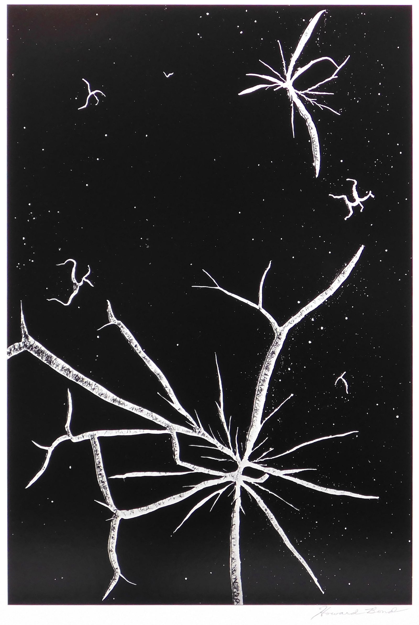 Howard Bond:  E.M.I. 7 (1 of 7)