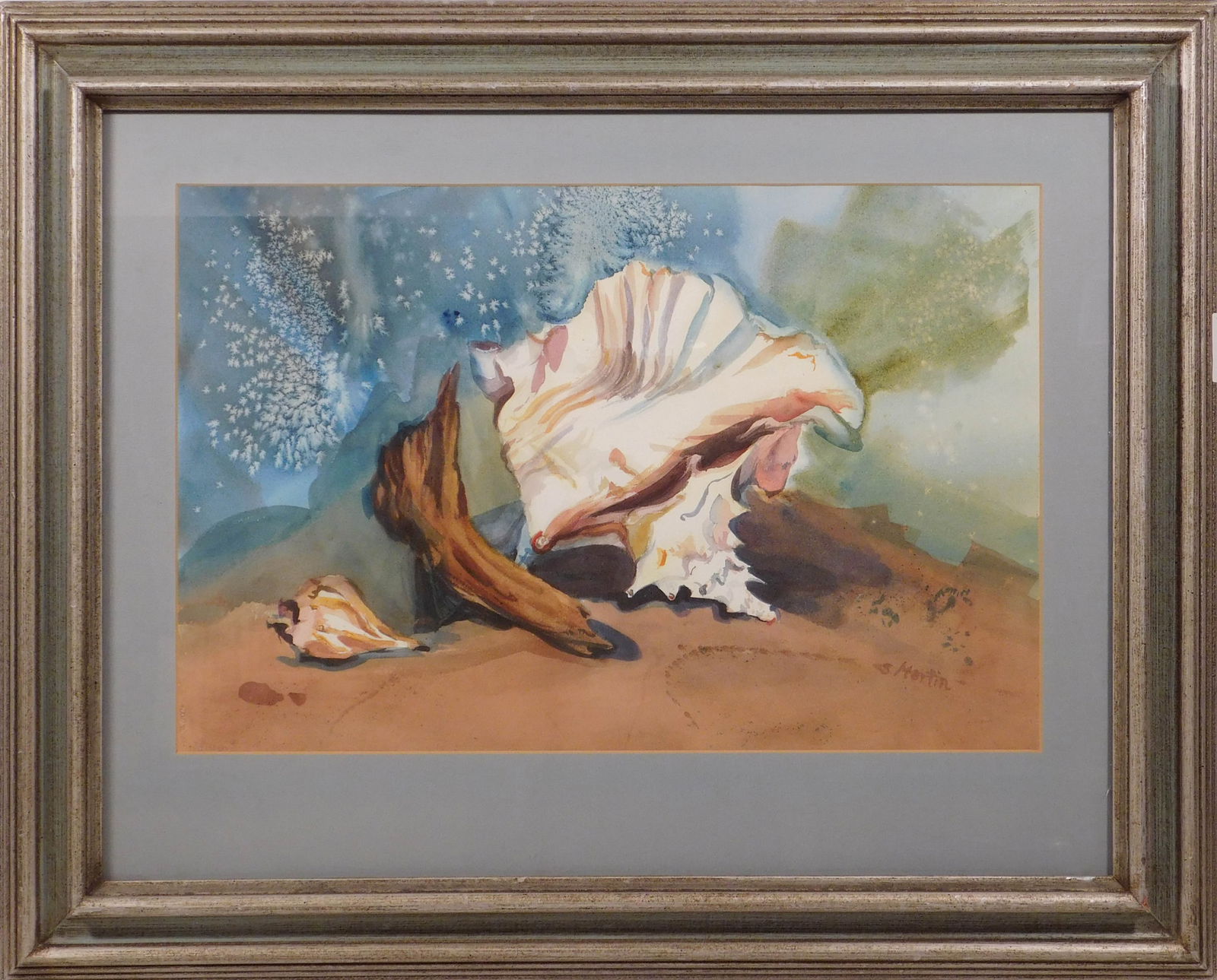 S. Martin: Conch Shell Still Life (1 of 5)