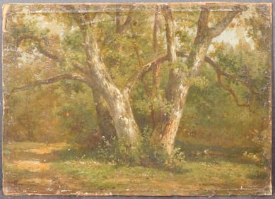 Hermanus Bogman: Impressionist Forrest