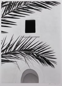 Howard Bond: Palm Fronds, Ios