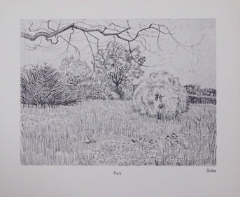 Vincent van Gogh: Park, Arles