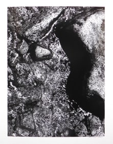 Howard Bond: Detail, South Fork Kings River