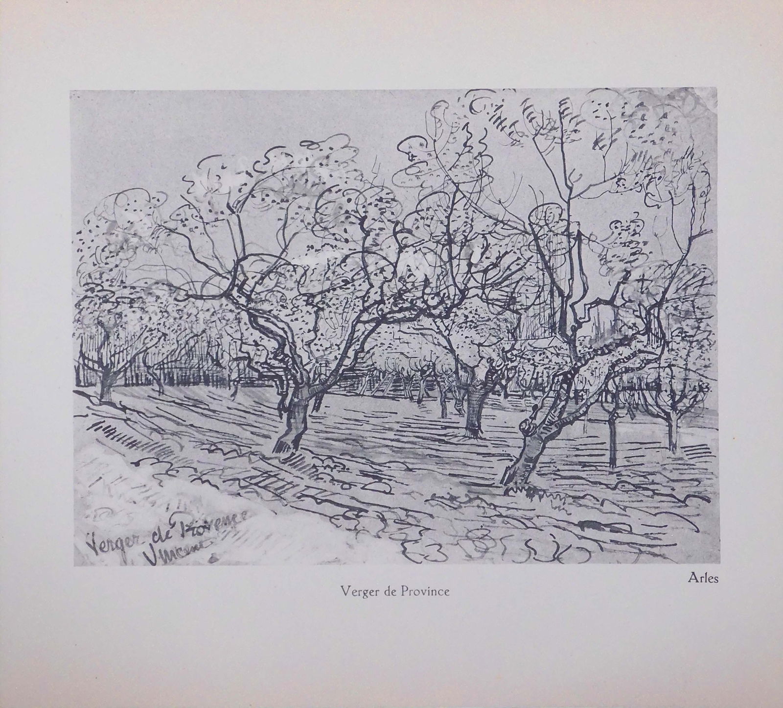 Vincent van Gogh: Verger de Provance, Arles (1 of 5)