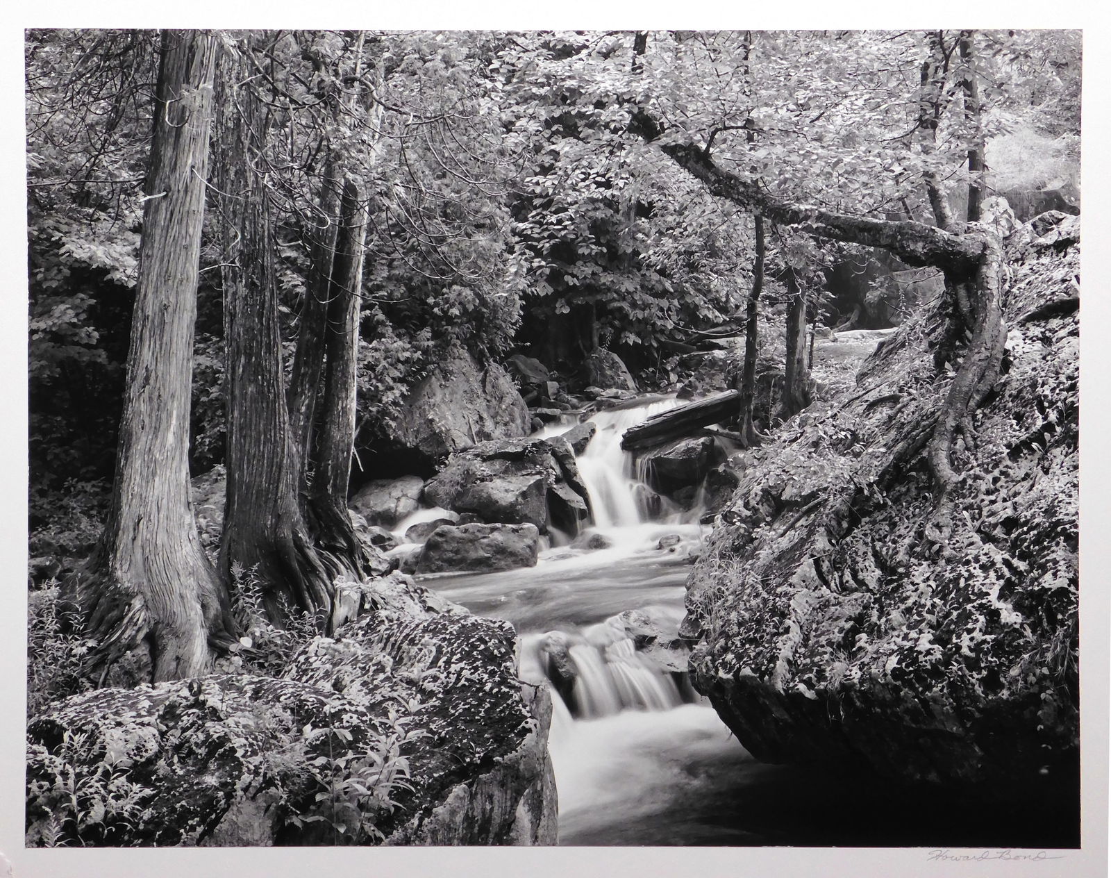 Howard Bond: Sydenham River, Owen Sound (1 of 7)