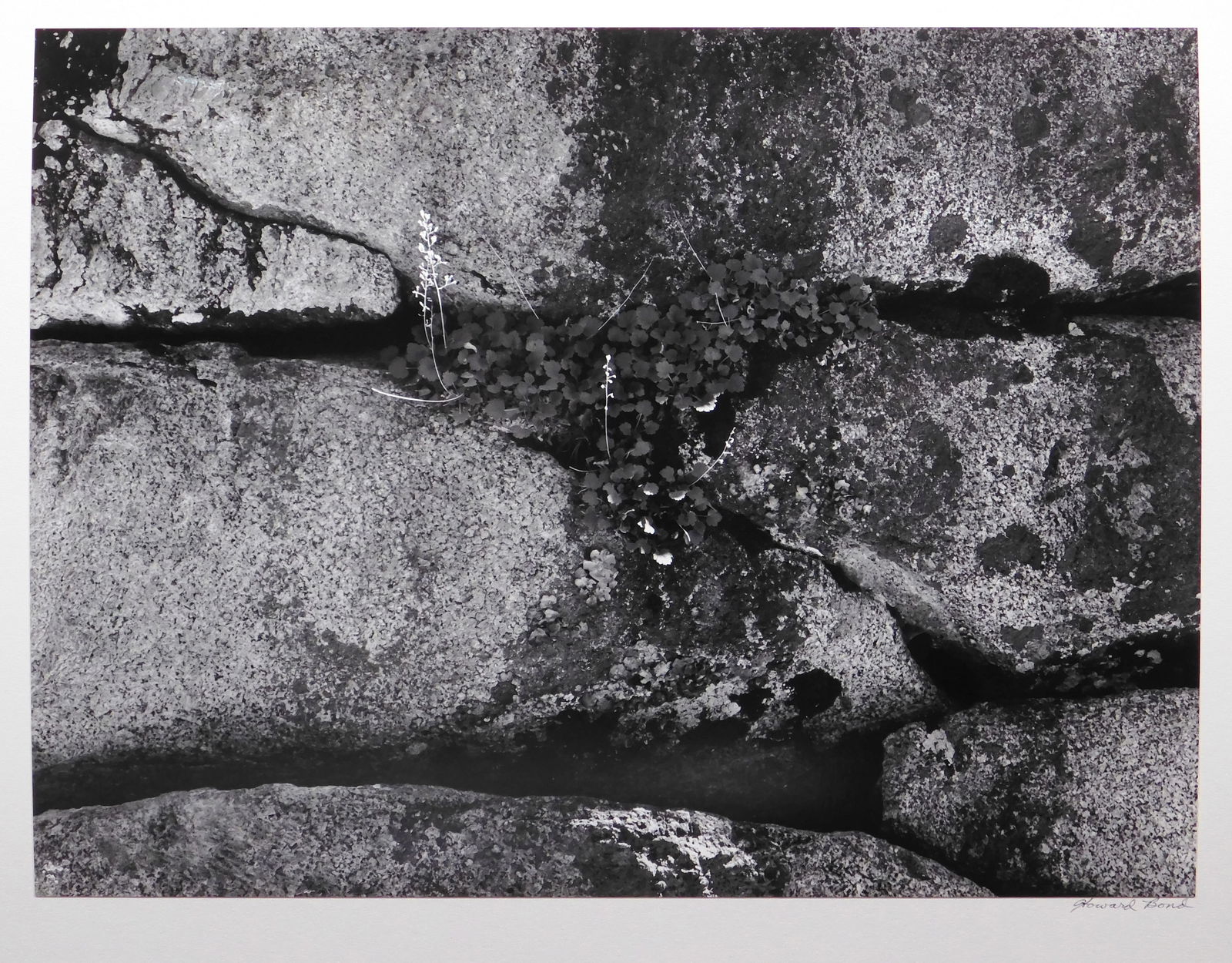 Howard Bond: Rock Wal, Volcanic Lakes (1 of 9)