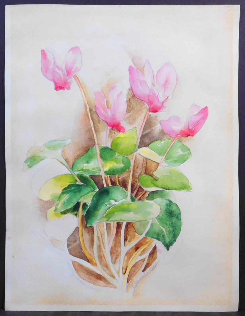 Charles Demuth, Attributed: Cyclamen: Charles Demuth (American, 1883-1935) Attributed: Cyclamen, 1916. Watercolor and pencil on paper. Unframed. A painter of allegorical figurative watercolors including a vaudeville series and contemporar