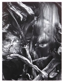 Howard Bond: Roots, Horseshoe Lakes