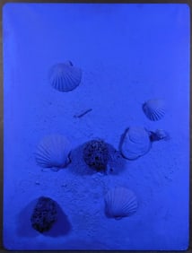 Yves Klein Manner of : Blue Modern Collage
