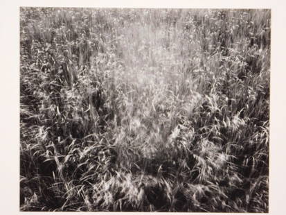 James Baker: Nauset Beach, 1974: James Baker (American, b 1937): Nauset Beach, 1974. Silver gelatin print mounted on rag board, unframed. Limited edition print (93/100) from the 8th annual portfolio of The Photographic Education Soci