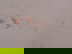 item-210212312=2