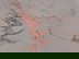 item-210212312=3