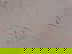 item-210212312=4