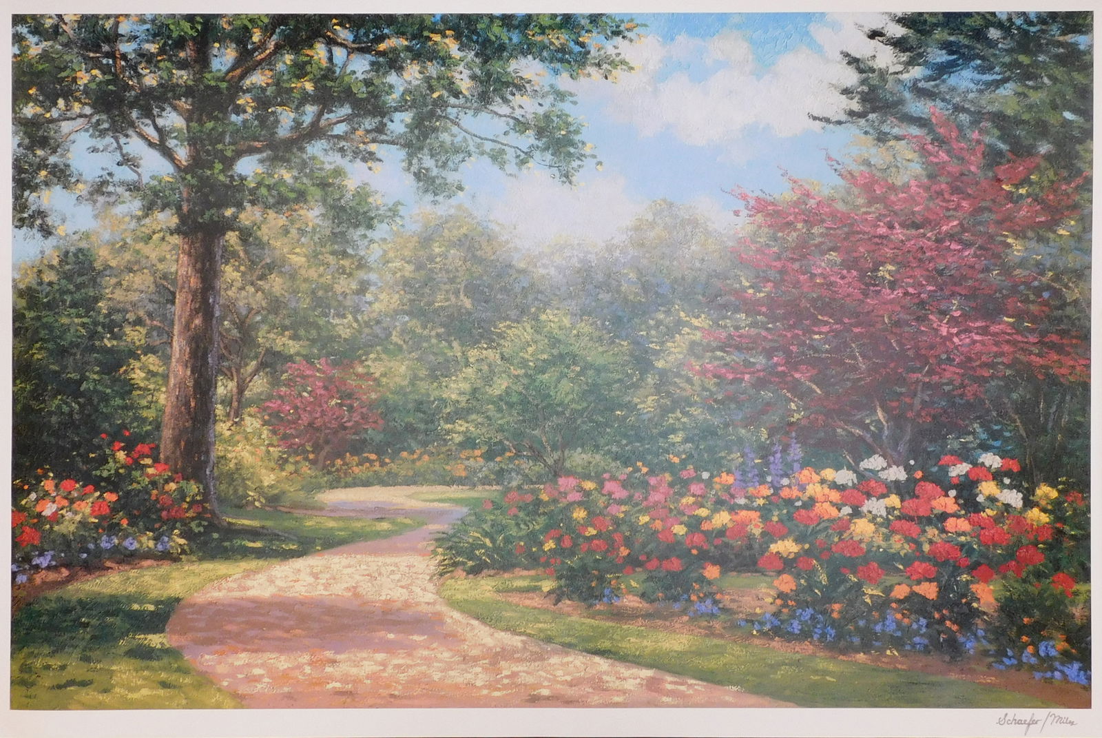 Shaefer Miles : Summer Enchantment (1 of 6)