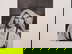 item-210746040=2