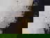 item-210746044=9