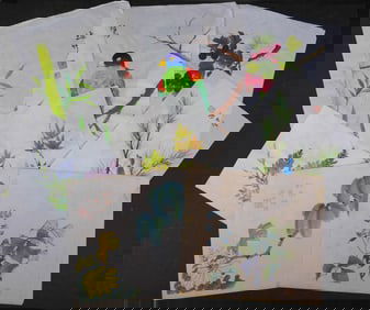 Set of Eight Birds and Botanicals Studies