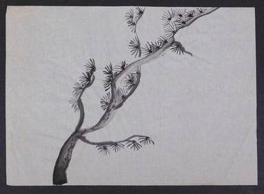 Set of Eight Ink Studies