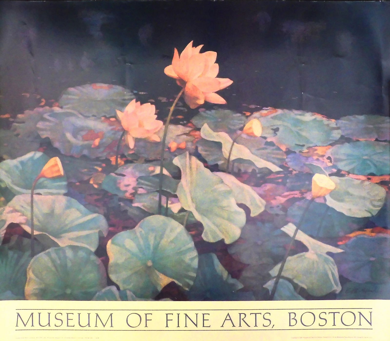 Charles Emile Heil: Lotus: Charles Emile Heil: Lotus. Fine art, archival print, published by the Museum of Fine Arts, Boston, printed by Merchants Press, Boston, 1987. Unsigned, unnumbered, and unframed. Charles Emile Heil (187