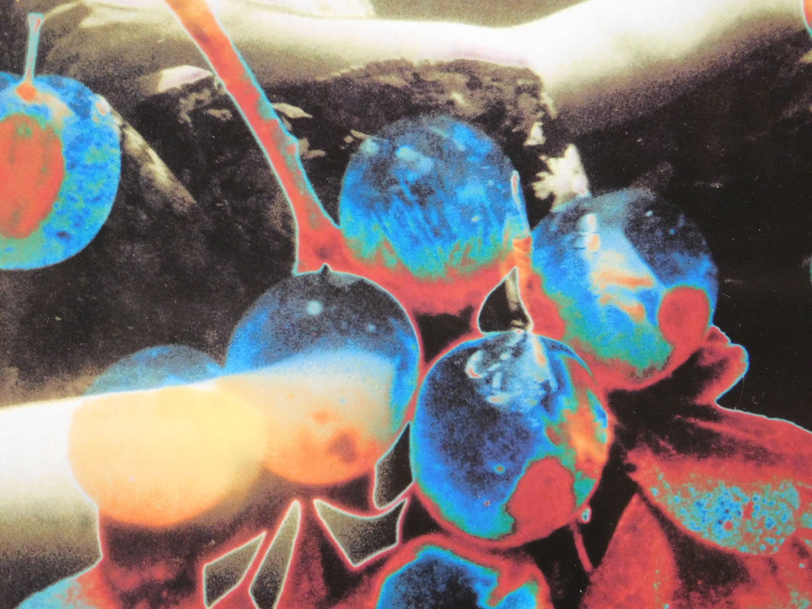 Robert Flynt : Untitled (Two Entangled Men Floating) - 3