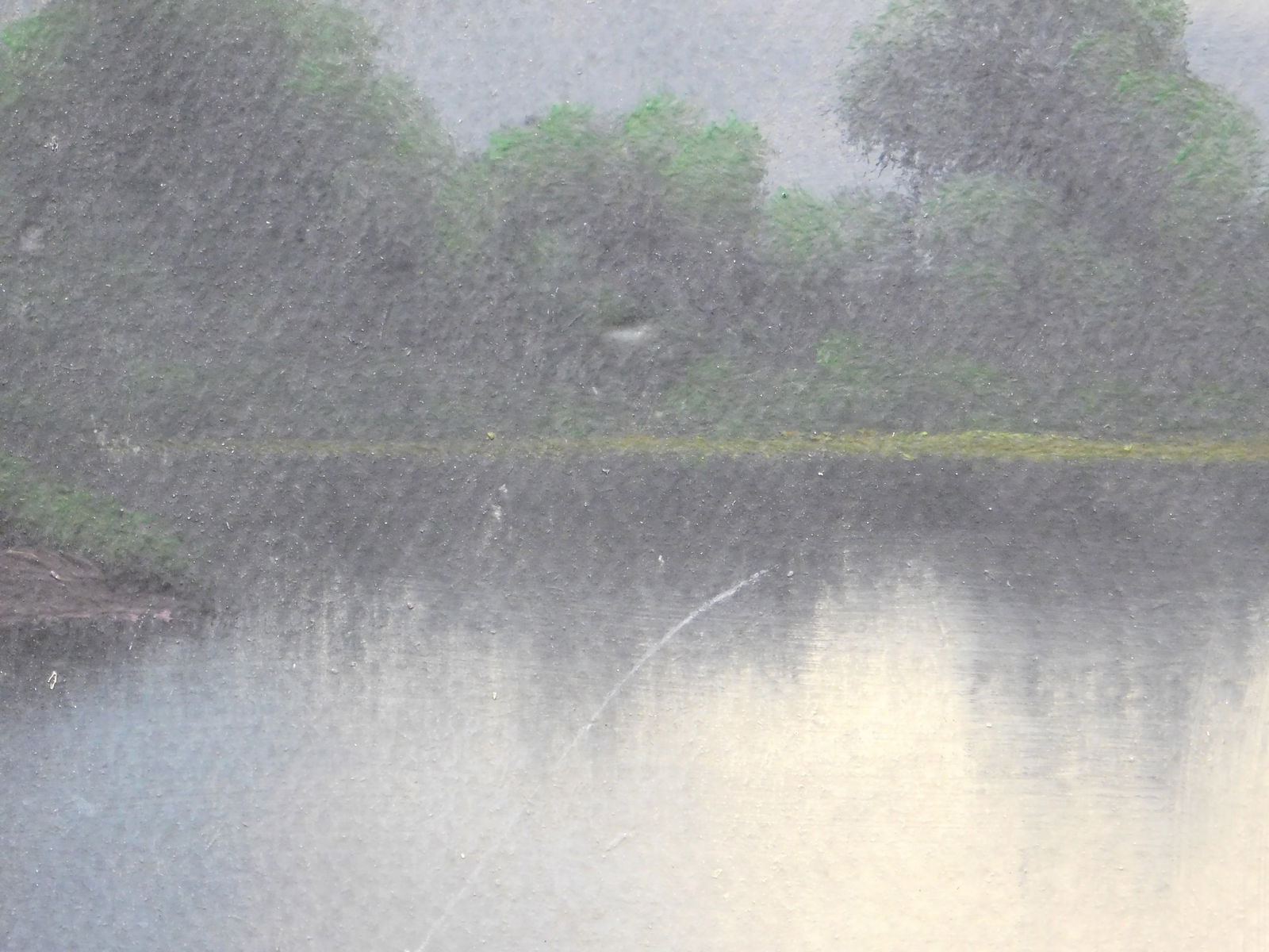 Evening Camping Scene - 2