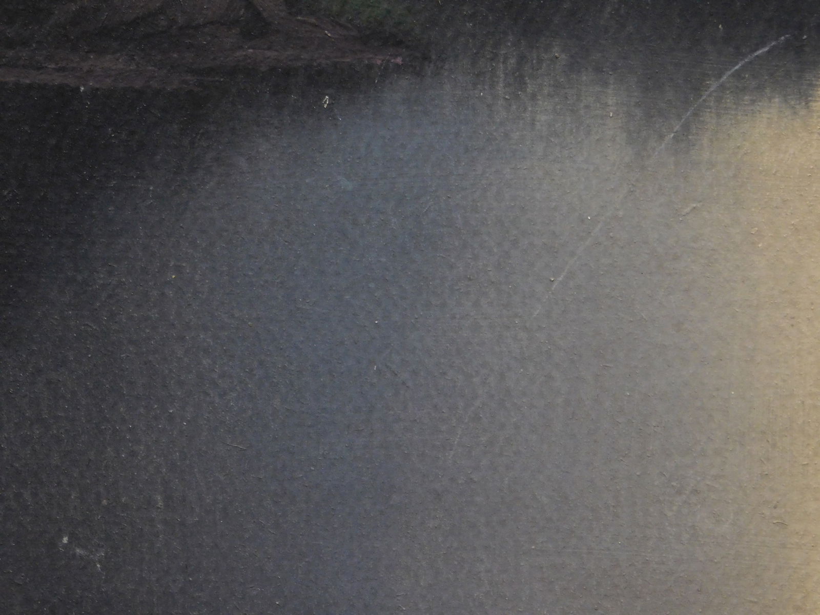 Evening Camping Scene - 3