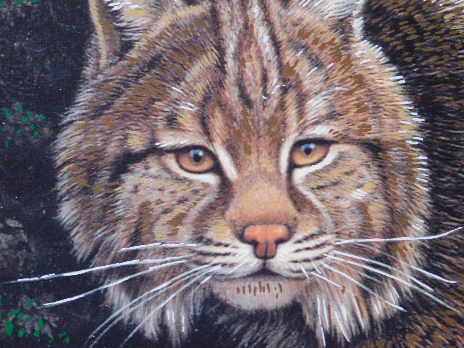 Pat McManus: Bobcat - 3